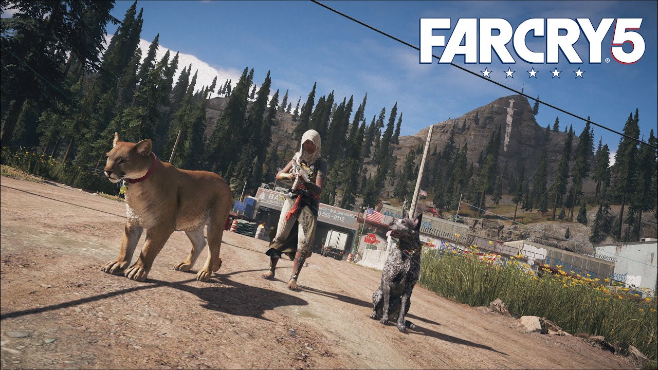 Far Cry 5 🏝️