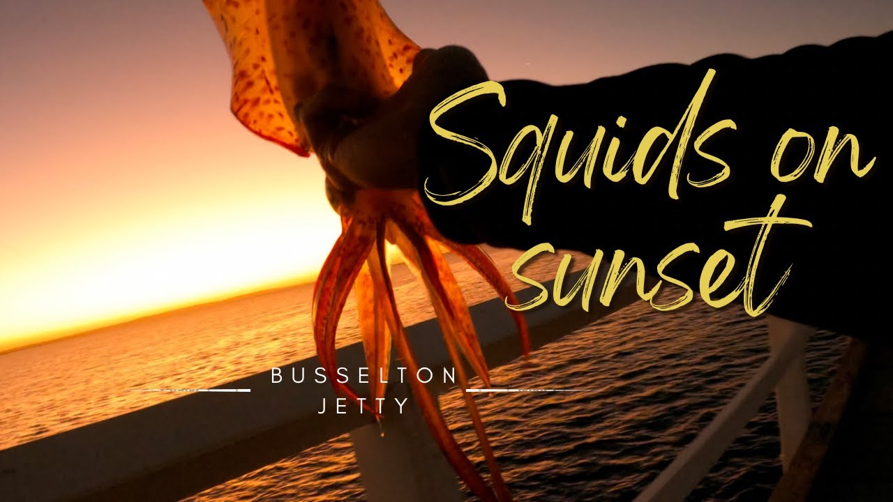 Catching a big squid on Busselton Jetty, Western Australia.
