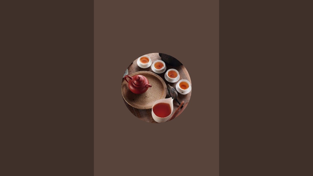 بدأت قناة 