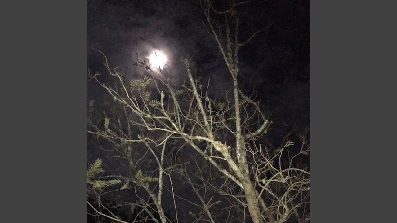 Moonlight