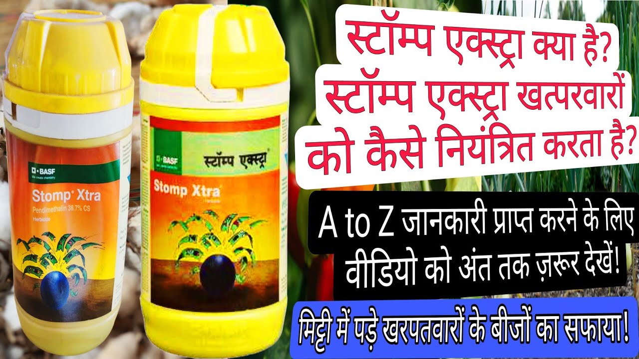 BASF Stomp Xtra | Benefits | How to use Stomp Xtra | Original Vs Fake | Herbicide |Weed Management |