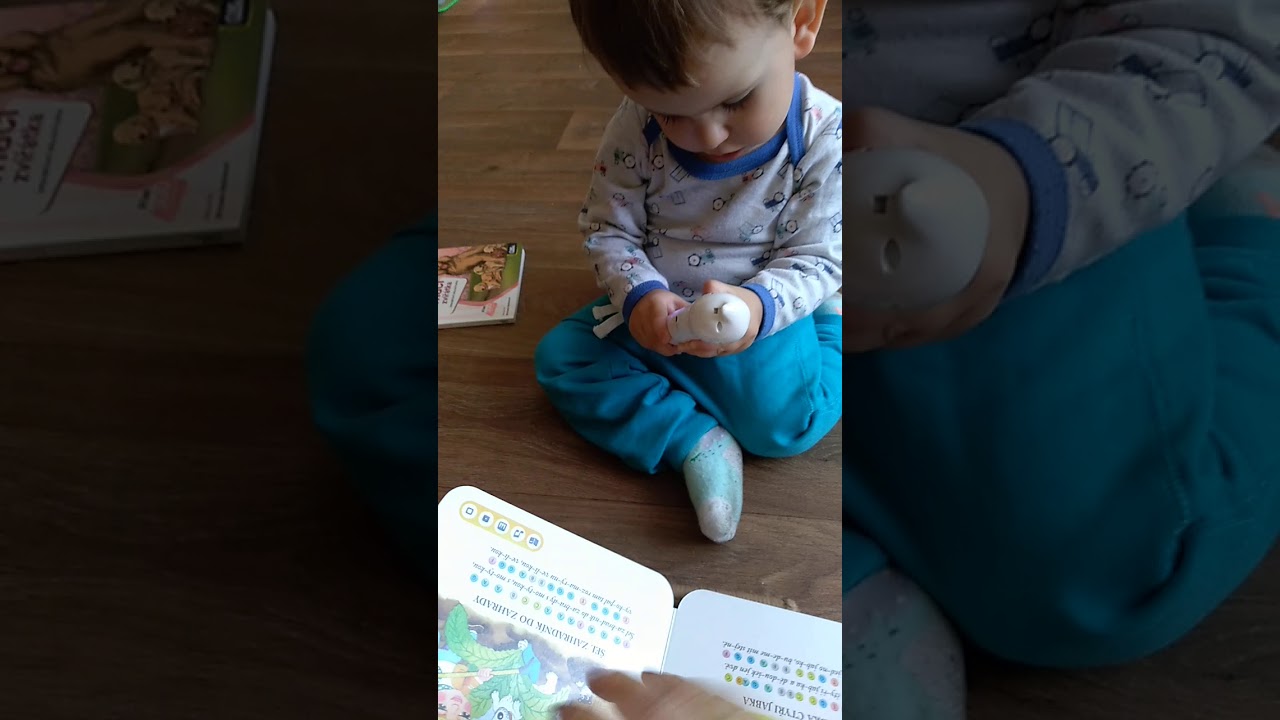 Albi kouzelne cteni zpivanky 3 a domaci zviratka