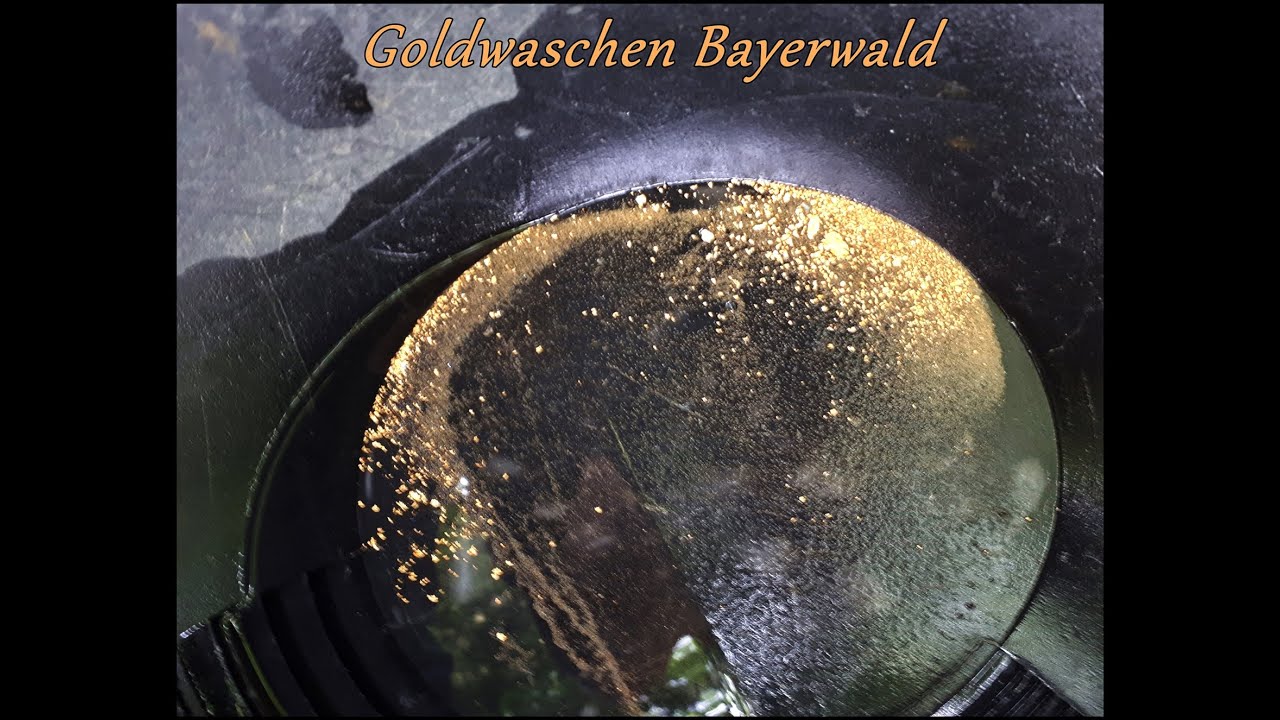 Gold......Summer Session......*