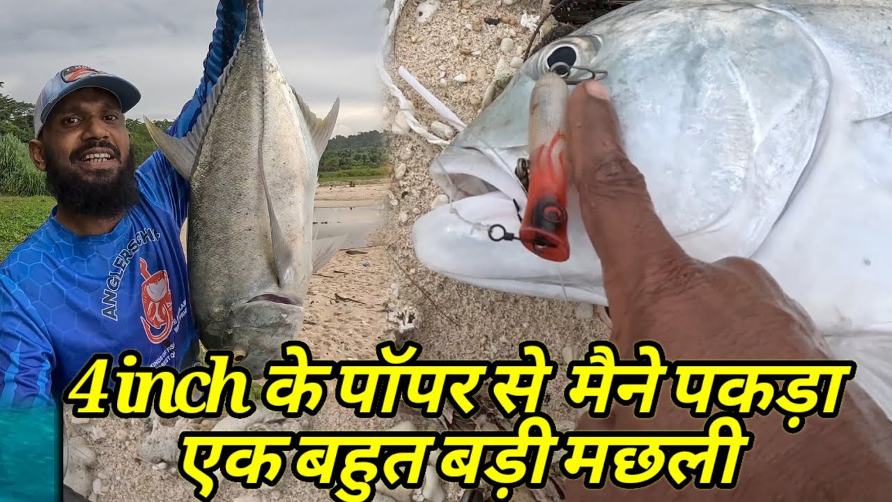 HOW TO CATCH A BIG FISH WITH SMALL SIZE POPPER TIPS AND TECHNIQUES FOR BEGINNERS