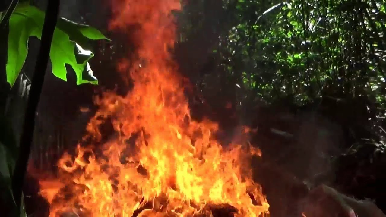 Listen To The Cloud Of Mosquitoes Biting Me As I Film This Beautiful Fire
