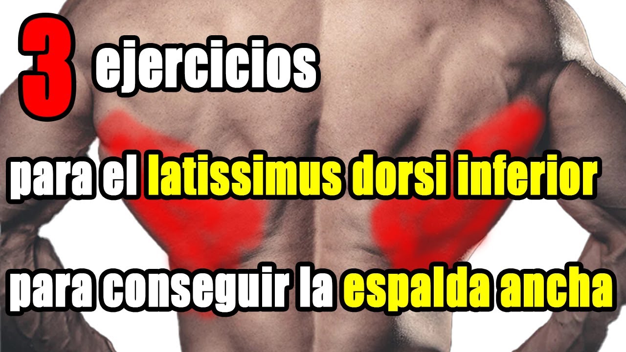 Los 3 mejores ejercicios del dorsal ancho inferior para una espalda más voluminosa