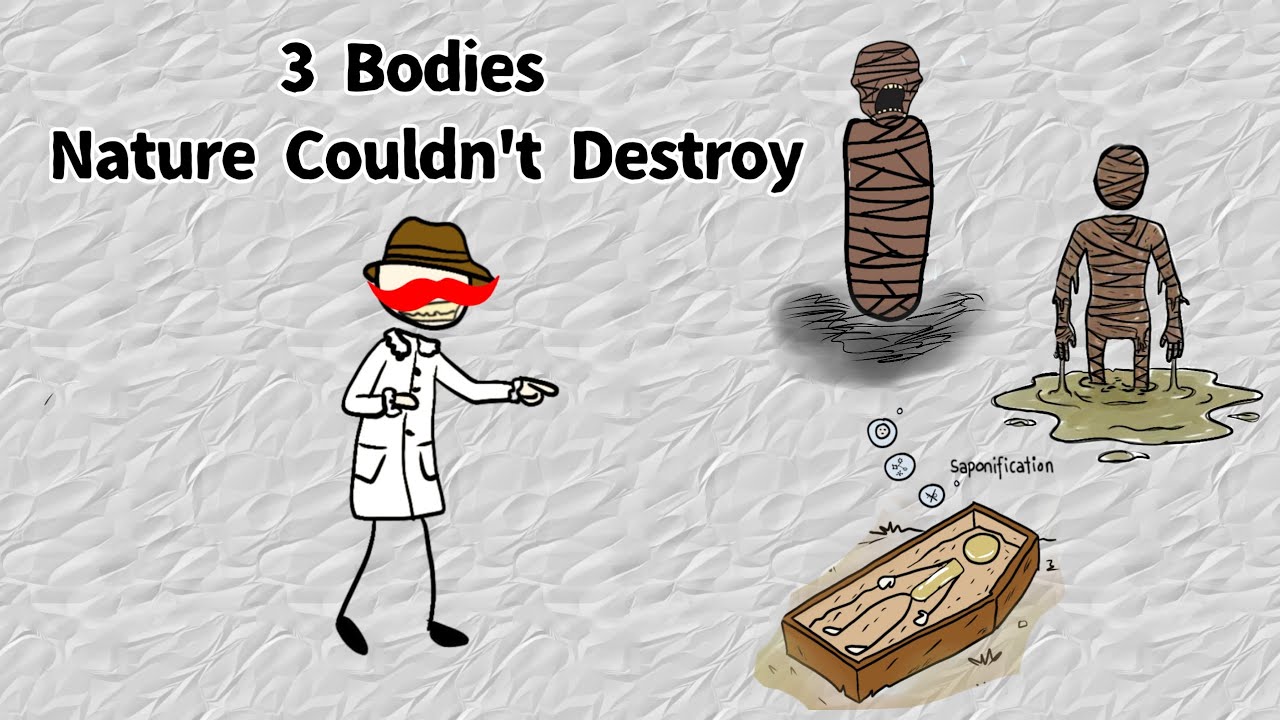 The Origin of the World&rsquo;s Strangest Bodies: Soap Lady, Melting Mummies & Eternal Screams