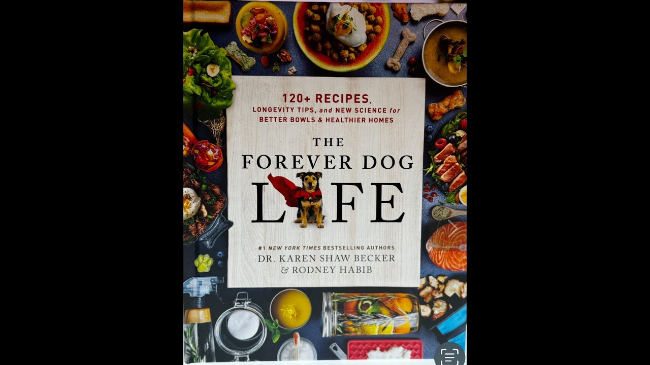 The Forever Dog LIFE review