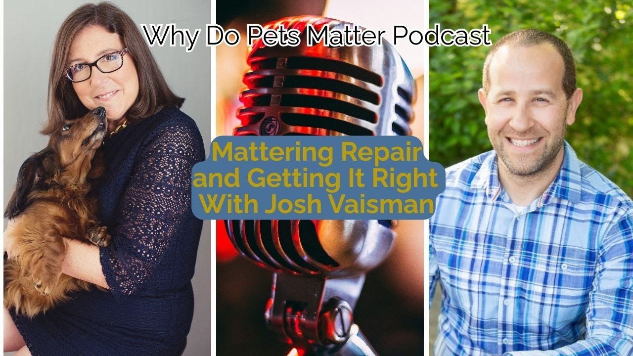Mattering Repair and Getting It Right with Josh Vaisman