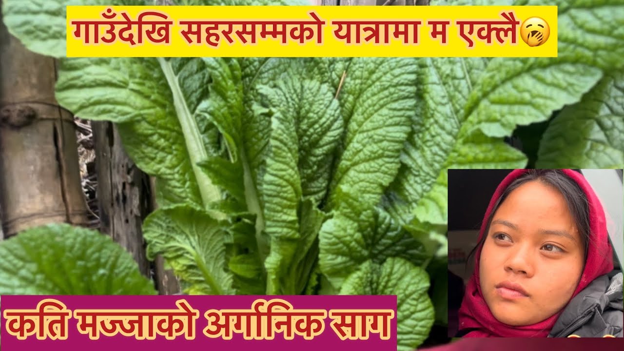 गाउँदेखि सहरसम्मको यात्रा एक्लै  म, बाटोको अवस्था यस्तो😱