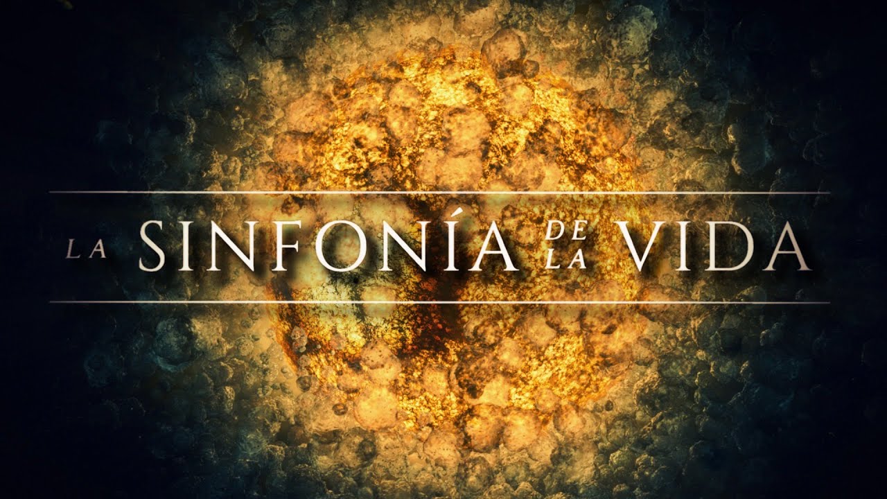 LA SINFONÍA DE LA VIDA 🌙 | La Gran Historia: una odisea desde el Big Bang hasta el fin del tiempo