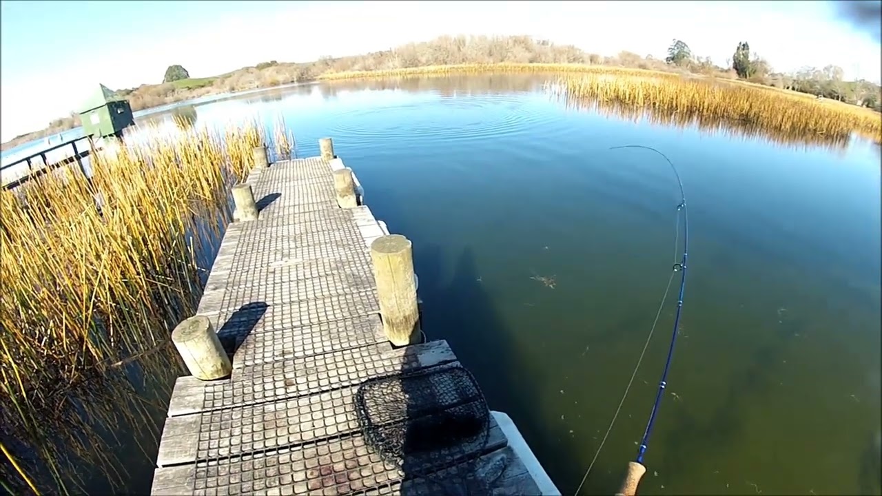 NEW ZEALAND TROUT FISHING WHAT A SPOT