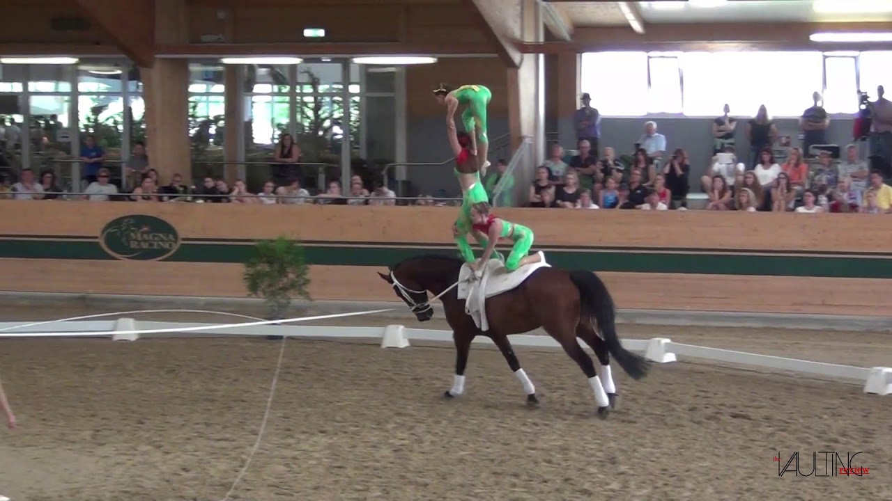 VG Club 43 (AUT), CVIO Ebreichsdorf 2018