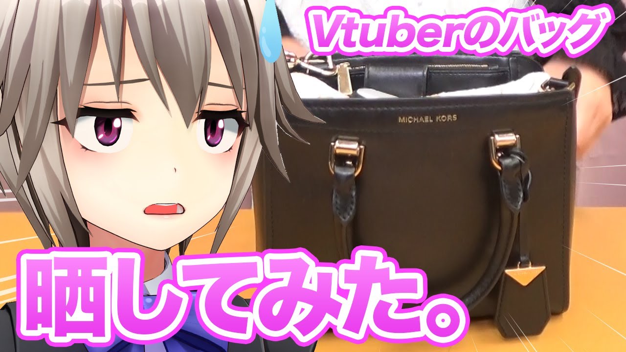 【罰ゲーム？】V(?)tuberのバッグの中身晒してみた。- What's in my Bag -