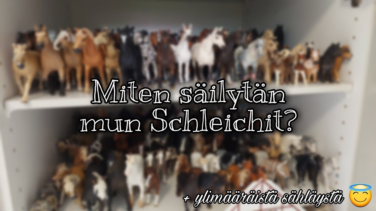 MITEN SÄILYTÄN MUN SCHLEICHIT?