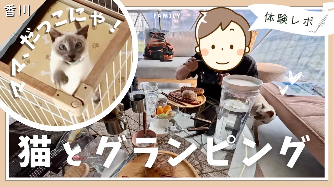 【猫旅】グランプレミア瀬戸内🏕️グランピング🍖待ちきれないにゃ❗️ジャンプ抱っこで脱出💛 【トンキニーズ】