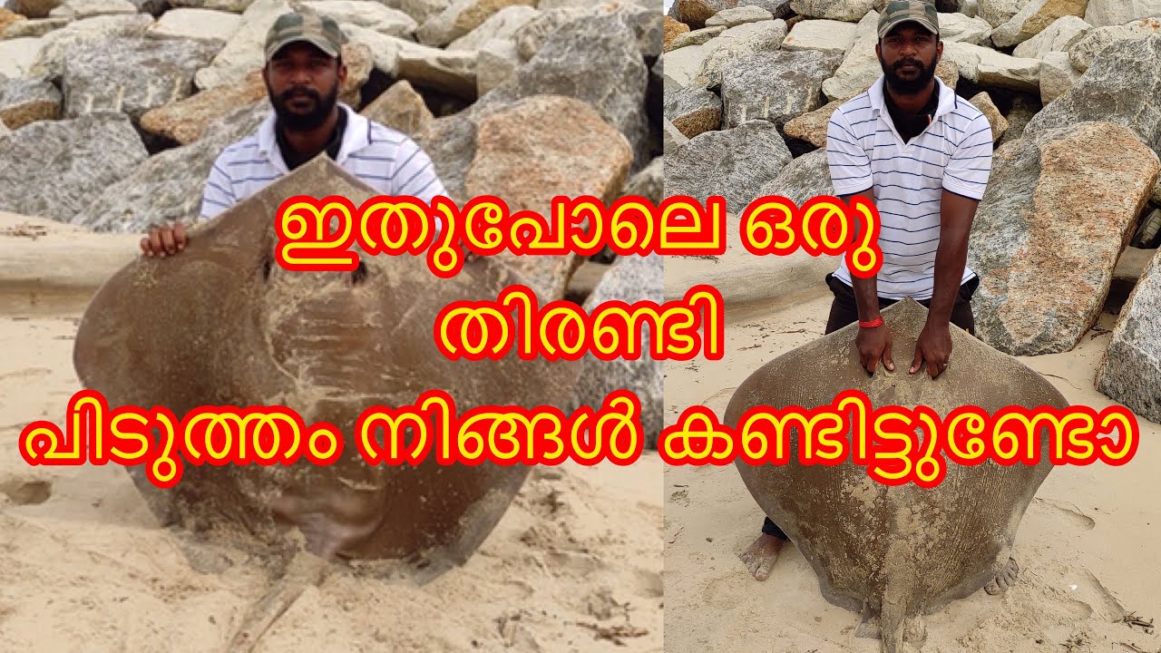 Part.1ബെയിറ്റുംഹൂക്കും സെറ്റ് ചെയ്ത റോഡും റീലും ഉപയോഗിച്ച് സിംപിൾ ആയി തിരണ്ടി പിടിക്കുന്നത് കണ്ടാലോ