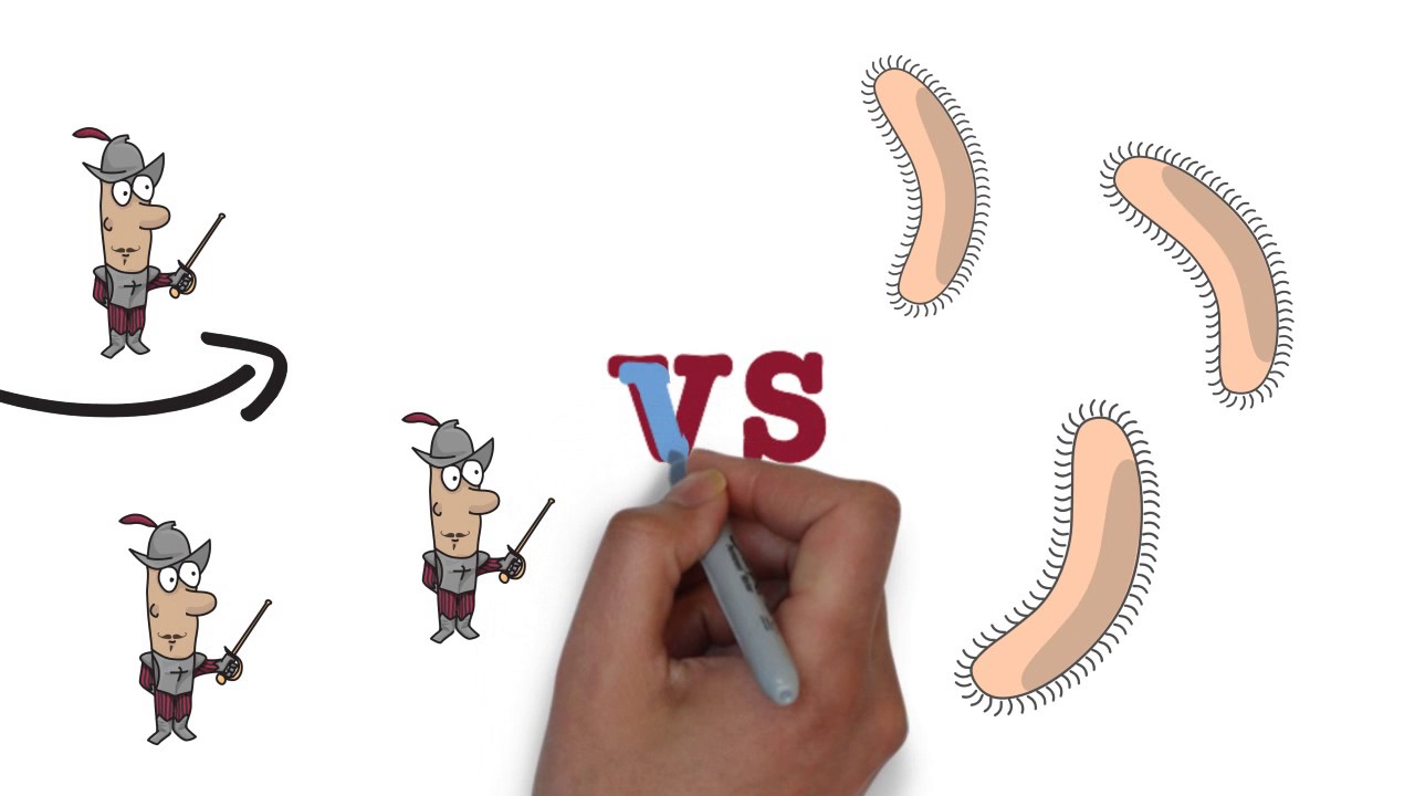 Sistema Imunológico