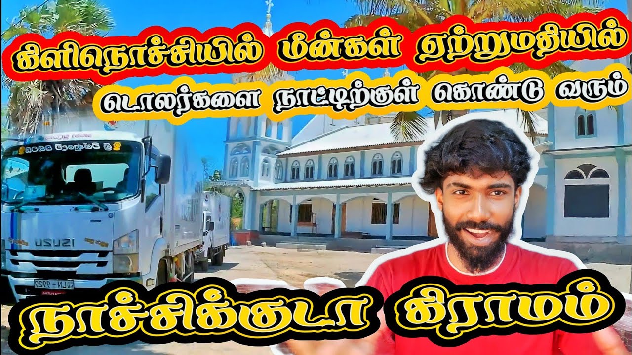 🌀🌀கிளிநொச்சியில் மீன்கள் ஏற்றுமதியில் டொலர்களை நாட்டிற்குள் கொண்டு வரும் நாச்சிக்குடா | #Kilinochchi