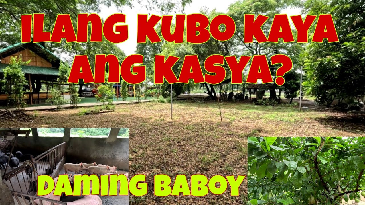 Ang daming stock pero konti ang orders | Pwede na kaya ang miracle fruit? 