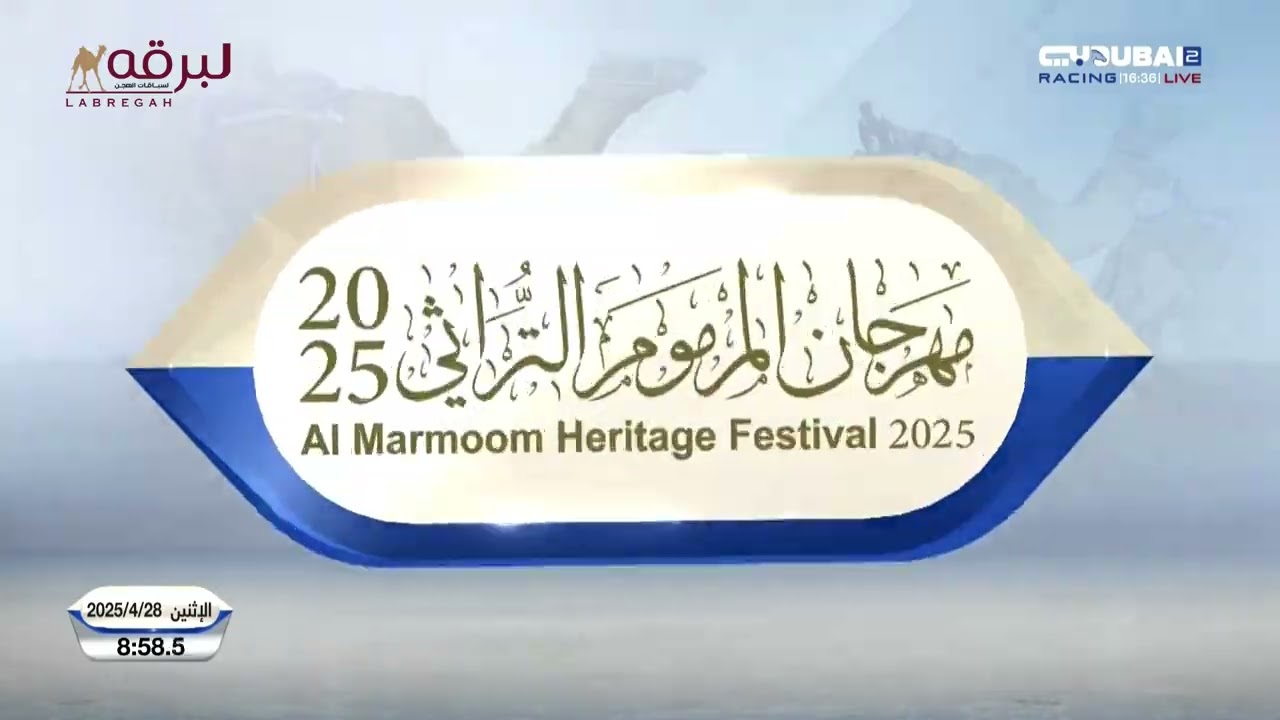 ش3 صايب لـ هجن الرئاسة (مهرجان ختامي المرموم 28-04-2025م) البندقية الذهبية للزمول مفتوح 12:24:9