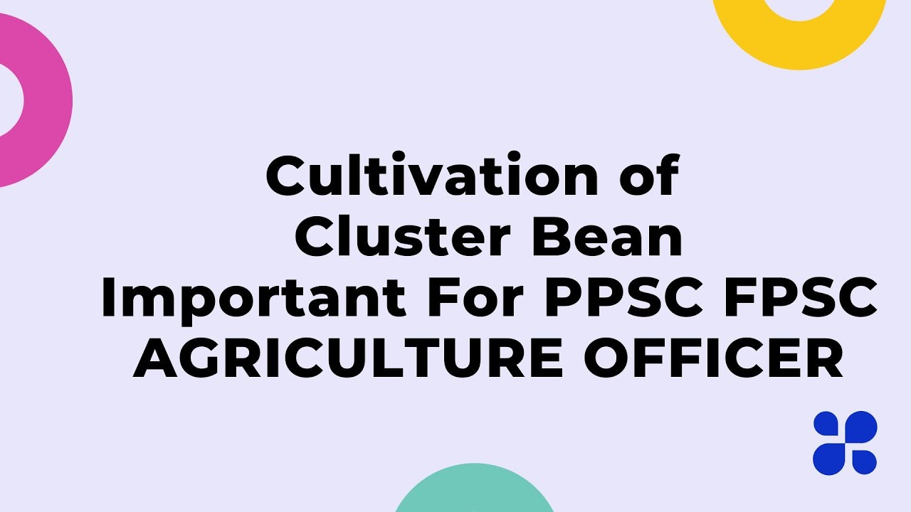 Cluster Beans/Aloo Gawar Cultivation And Crop Production PPSC / Preparation of Agriculture officer
