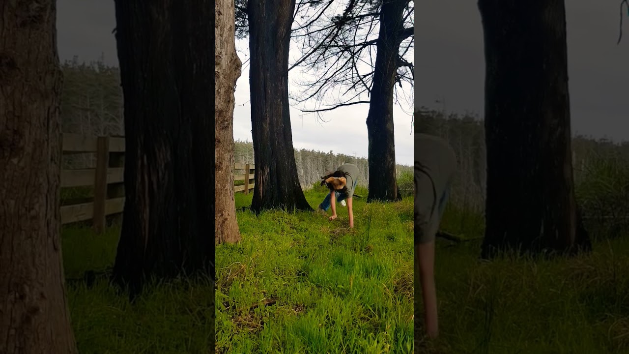 cat in forest!!! #otherhearted #otherpaw #alterhuman #quadrobist #quadrobics #maskmaker