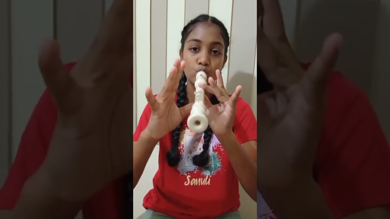 Sia -  'Chandelier' Recorder Cover By Amanda...