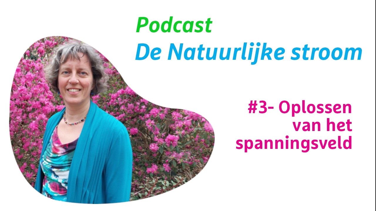 #3 Oplossen van het spanningsveld
