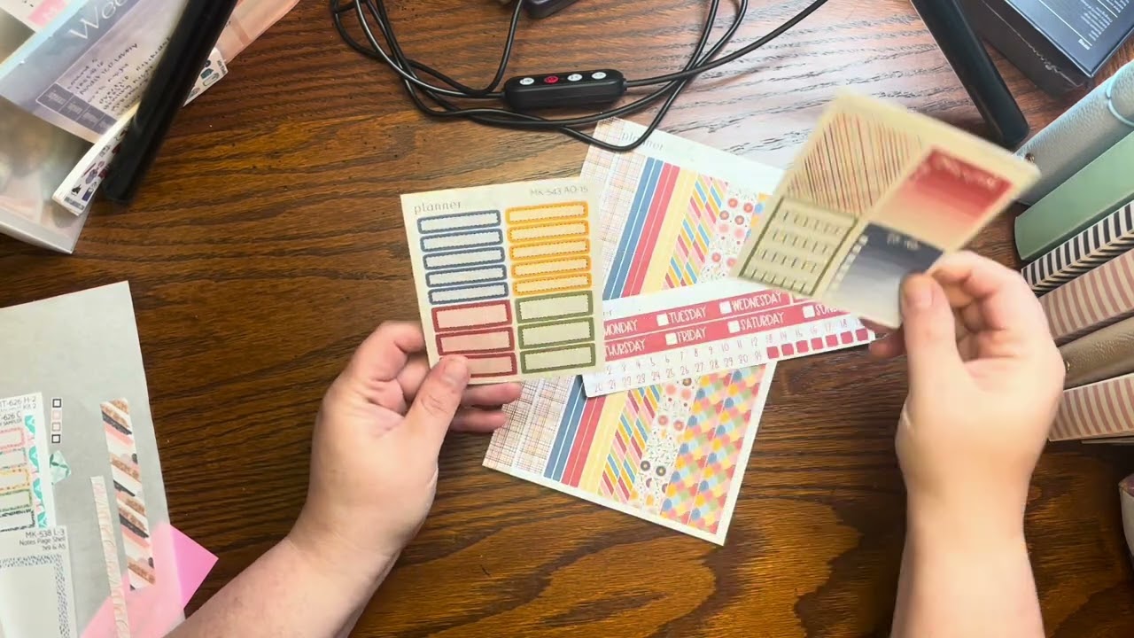 First Sticker Haul video featuring @Plannerkate1 @elisaravell and @ stellerfox sticker shops