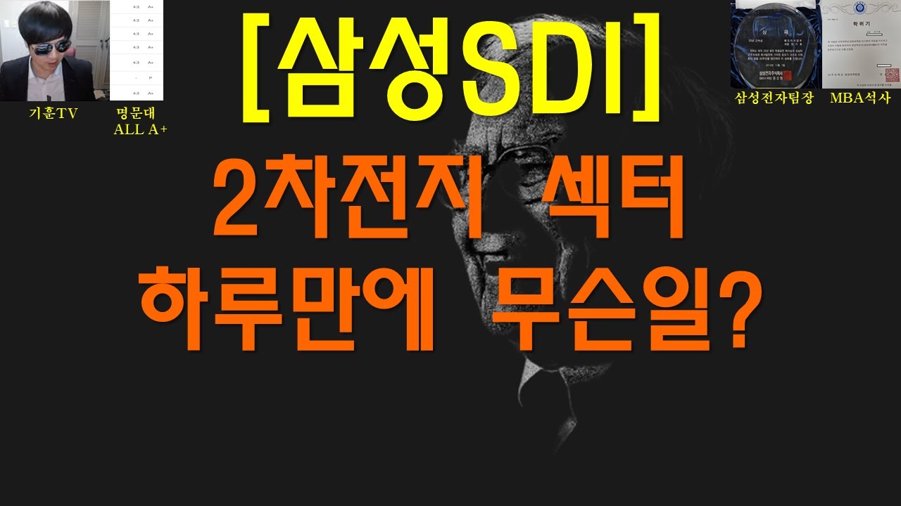 [주식투자]삼성SDI(2차전지 섹터 하루만에 무슨일?)