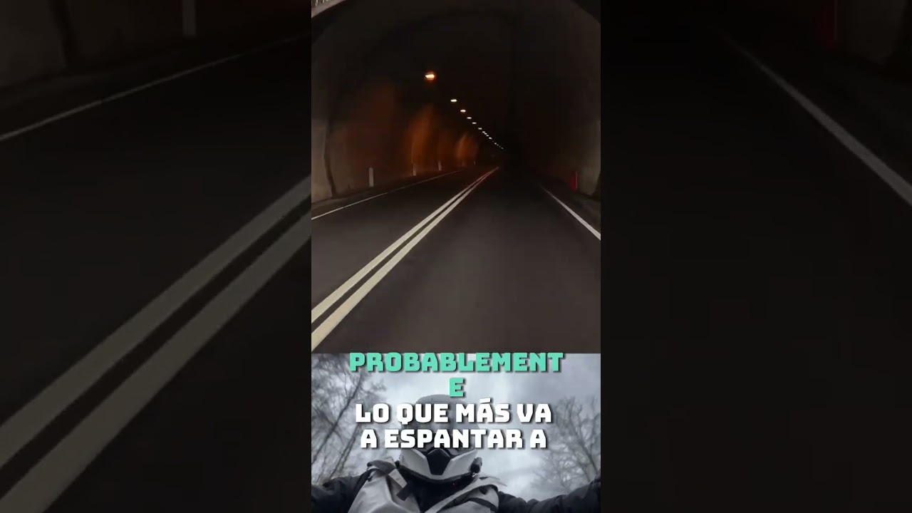 🔪 VS ANIMAL SALVAJE‼️ #motovlog #nature #knife #animals #survival #travel #adventure