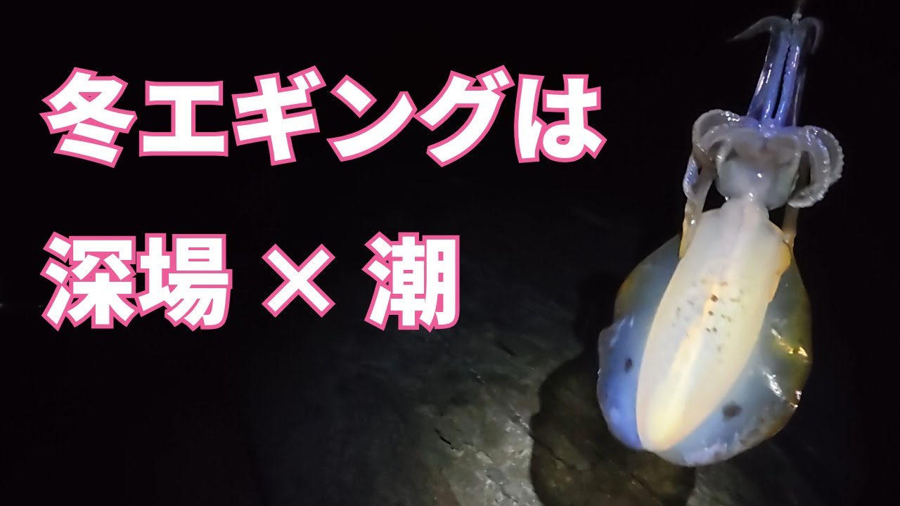 冬のエギング！重要なのは深場×潮！