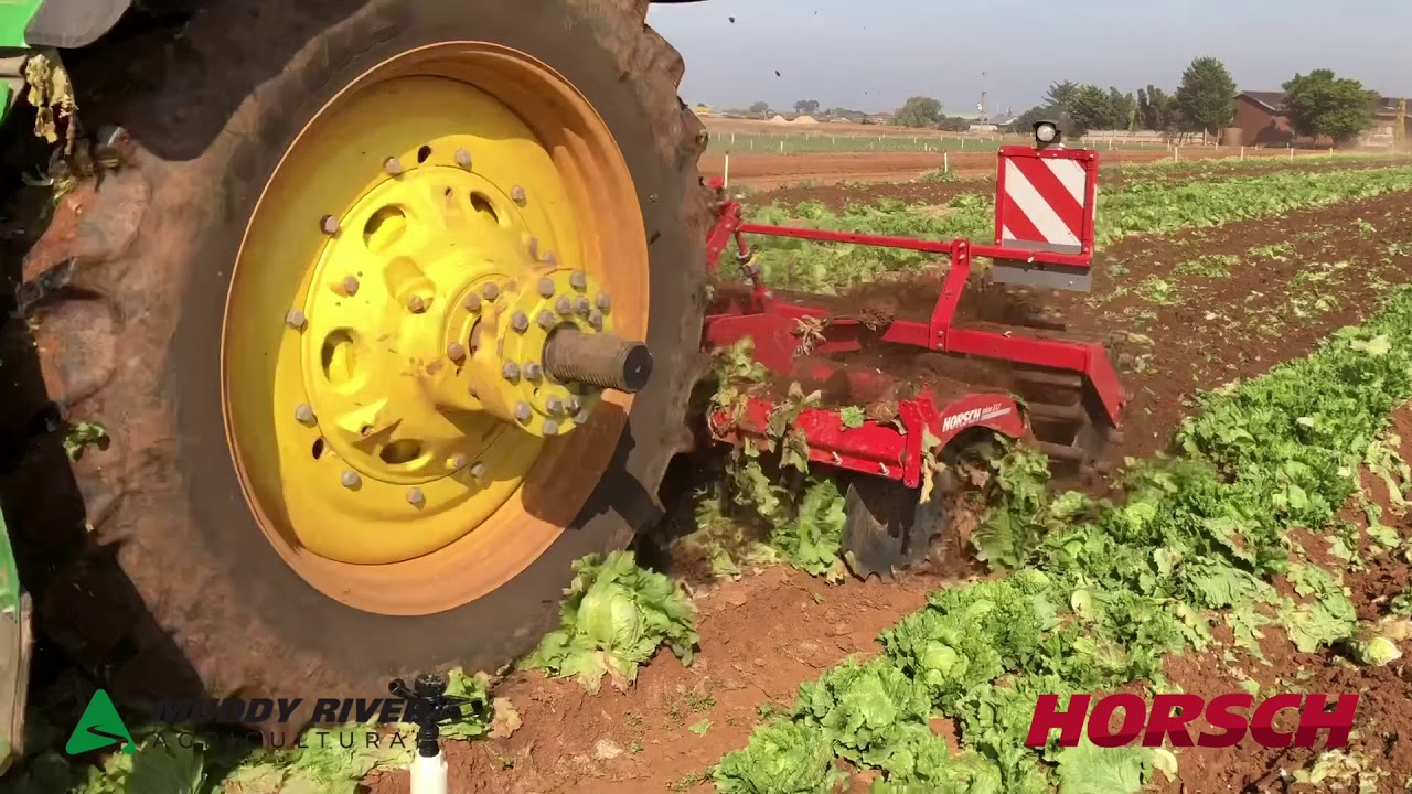HORSCH Joker 3CT burying the old iceburg lettuce - mixing and tillage