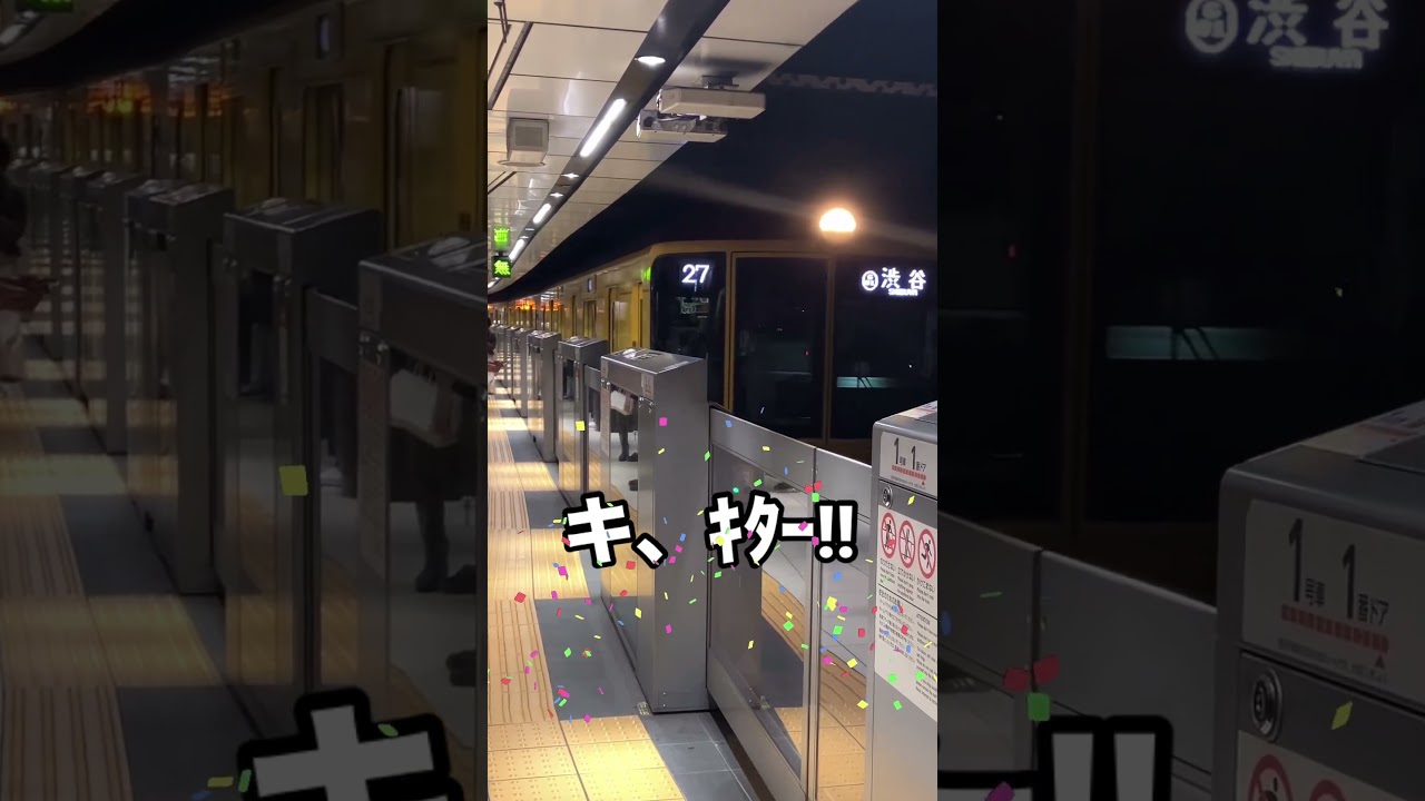 銀座線の特別仕様車当てるまで帰れま10チャレンジ！！
