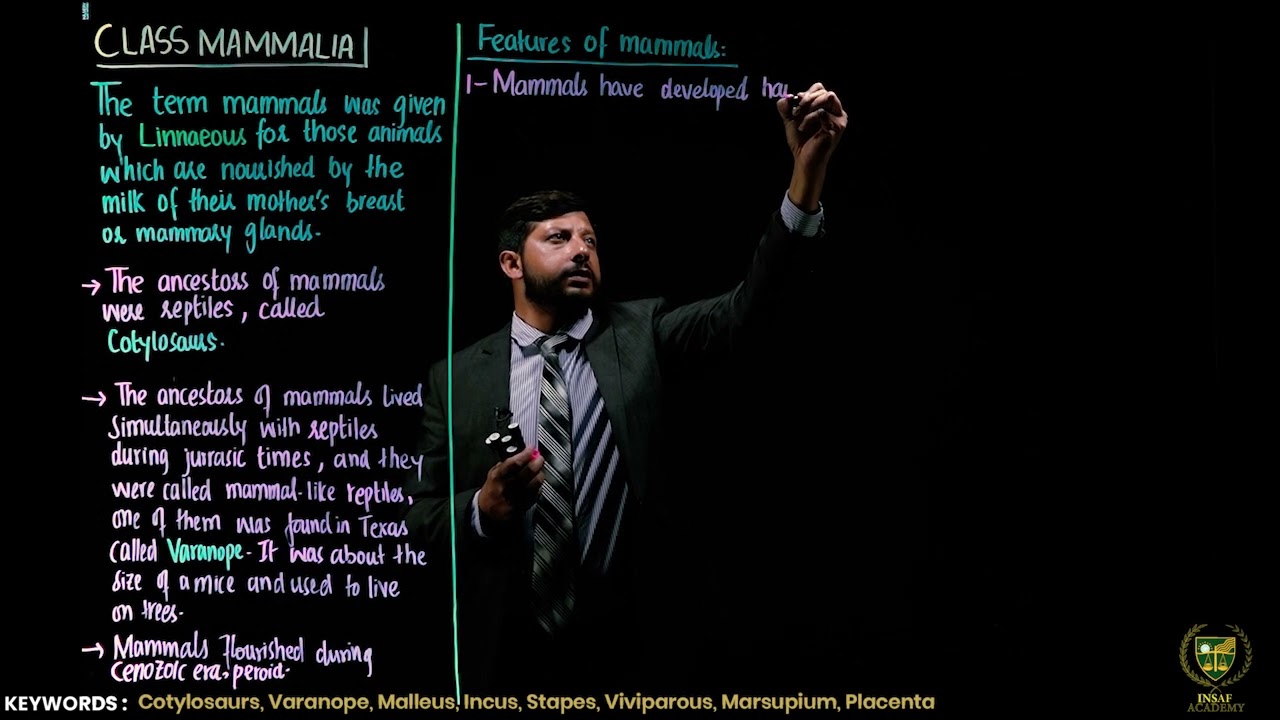 11th bio chap 10 lecture  31