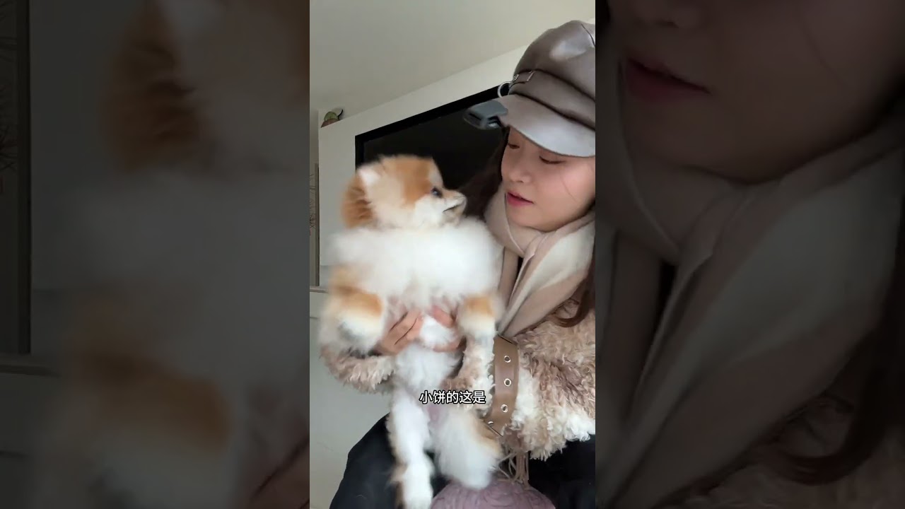 Turning Timidity into Curious Adventures: My Cat's New World