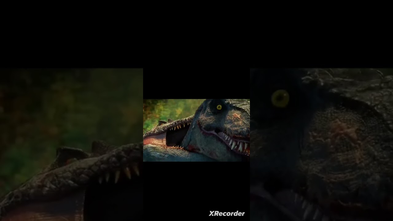 spino vs comilona