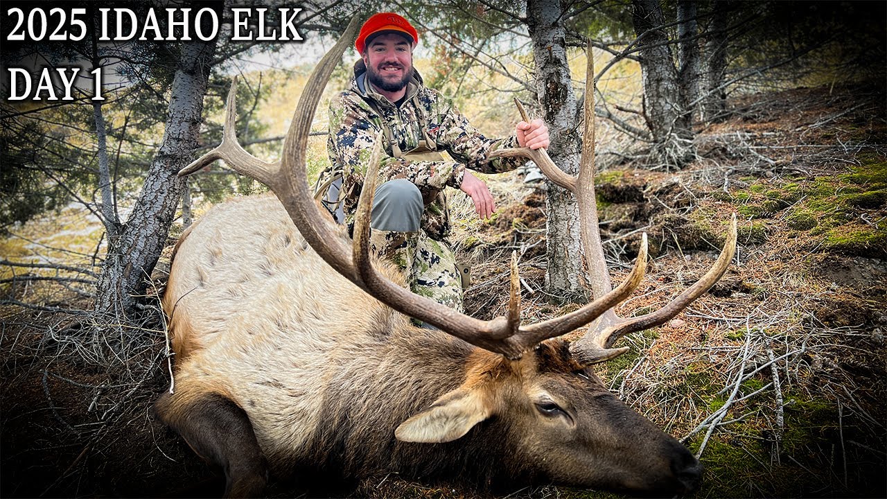 2025 Late Season Public Land Idaho Elk | 
