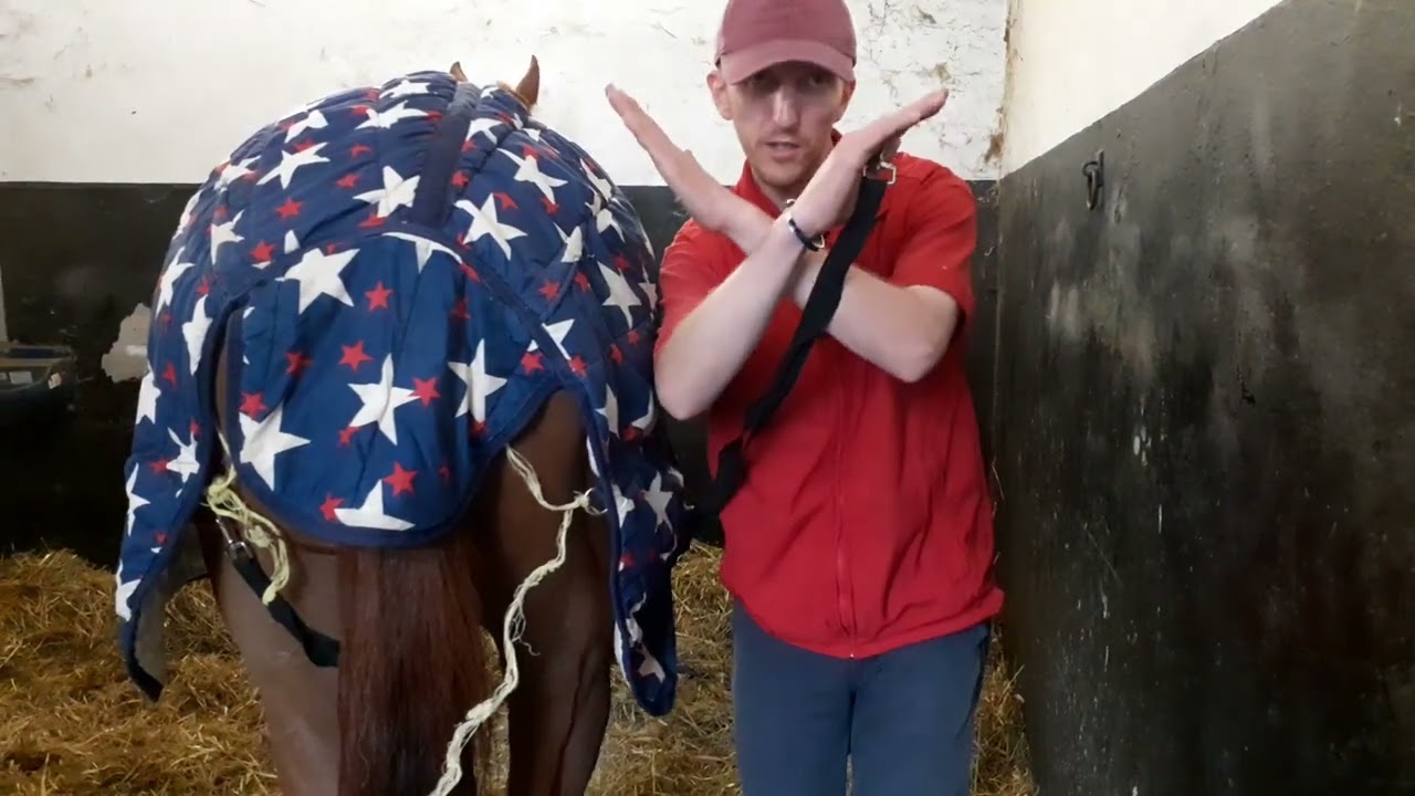 Matthew Clark on How to Fit a Stable Rug on a Racehorse