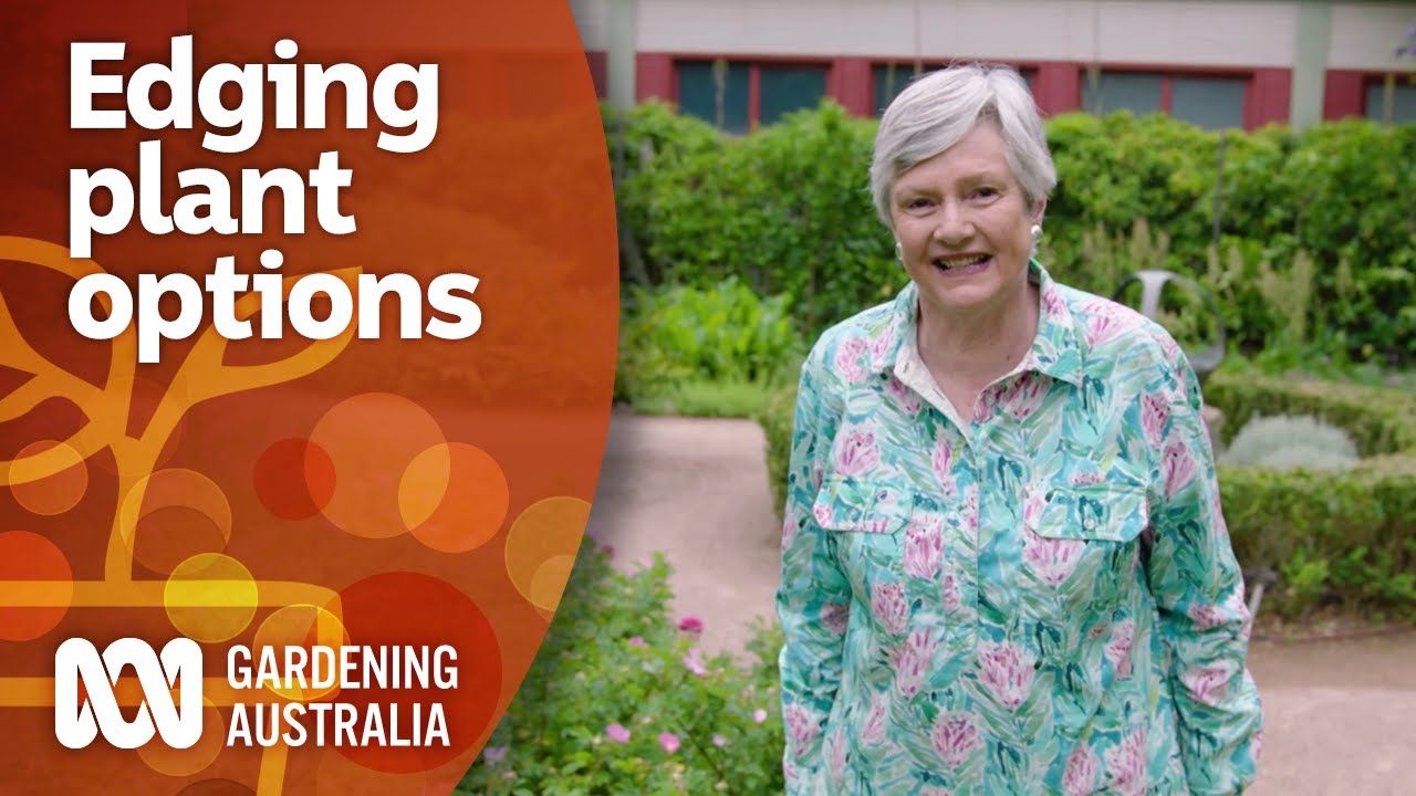 Plant options for growing along pathways | Garden Design and Inspiration | Gardening Australia