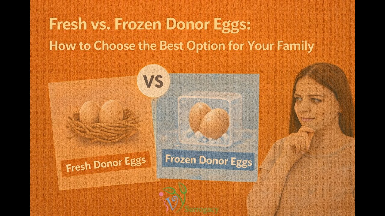 Fresh vs. Frozen Donor Eggs: How to Choose the Best Option for Your Family