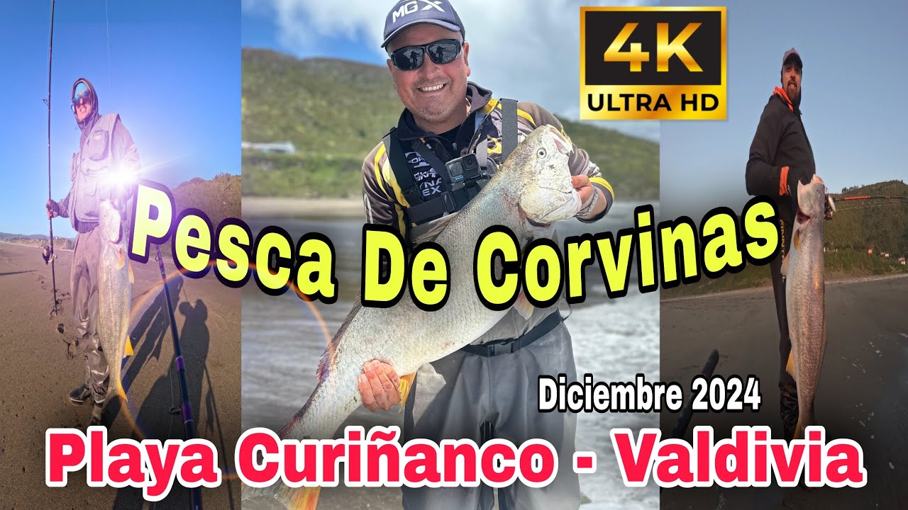 Pesca de Corvinas en Playa Curiñanco, Valdivia - Región de Los Ríos,  Chile.