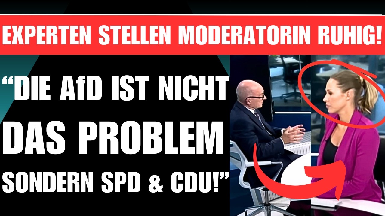 EXPERTEN stellen sich auf SEITE DER AfD 🚨 