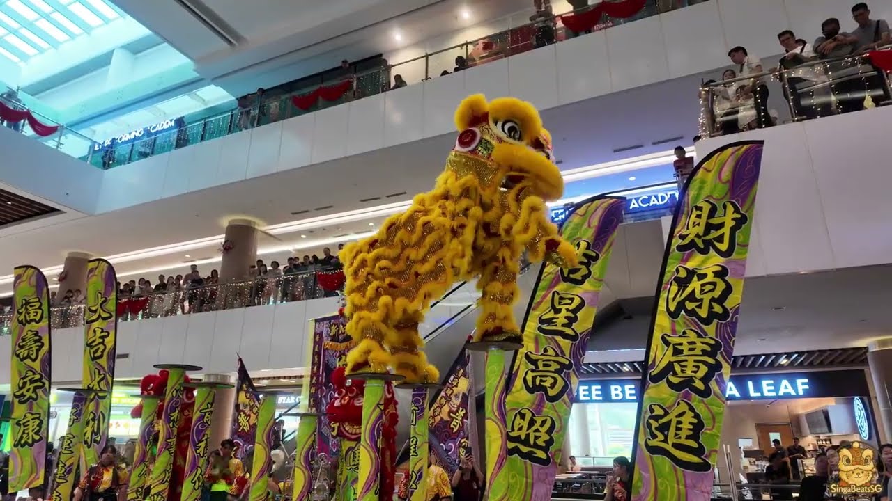 [4K] High Poles Lion Dance Performance @ Kallang leisure Park By Teng Yong KsK & Pho Leng 22.02.26