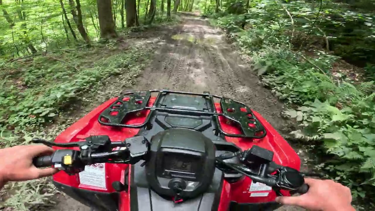 Hatfield, and McCoy trails " Braveheart " Random Trails  Part 1 ( The Bear )