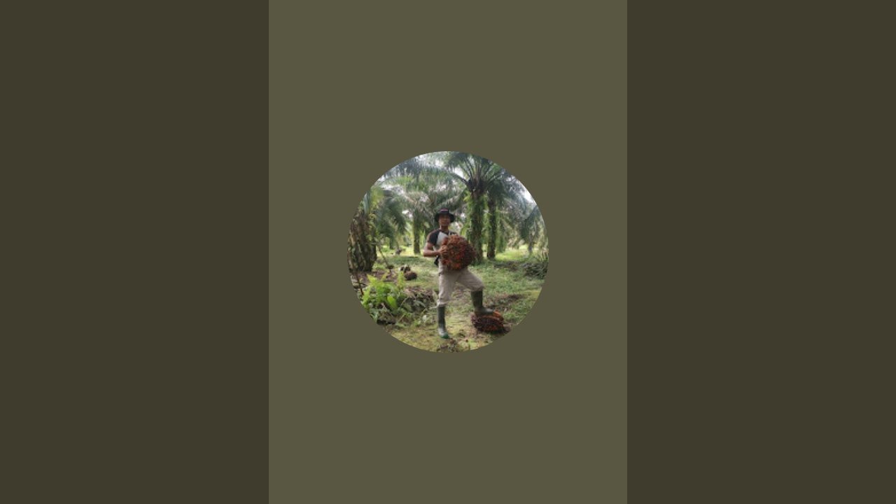 Praja waruwu sedang live sekarang!