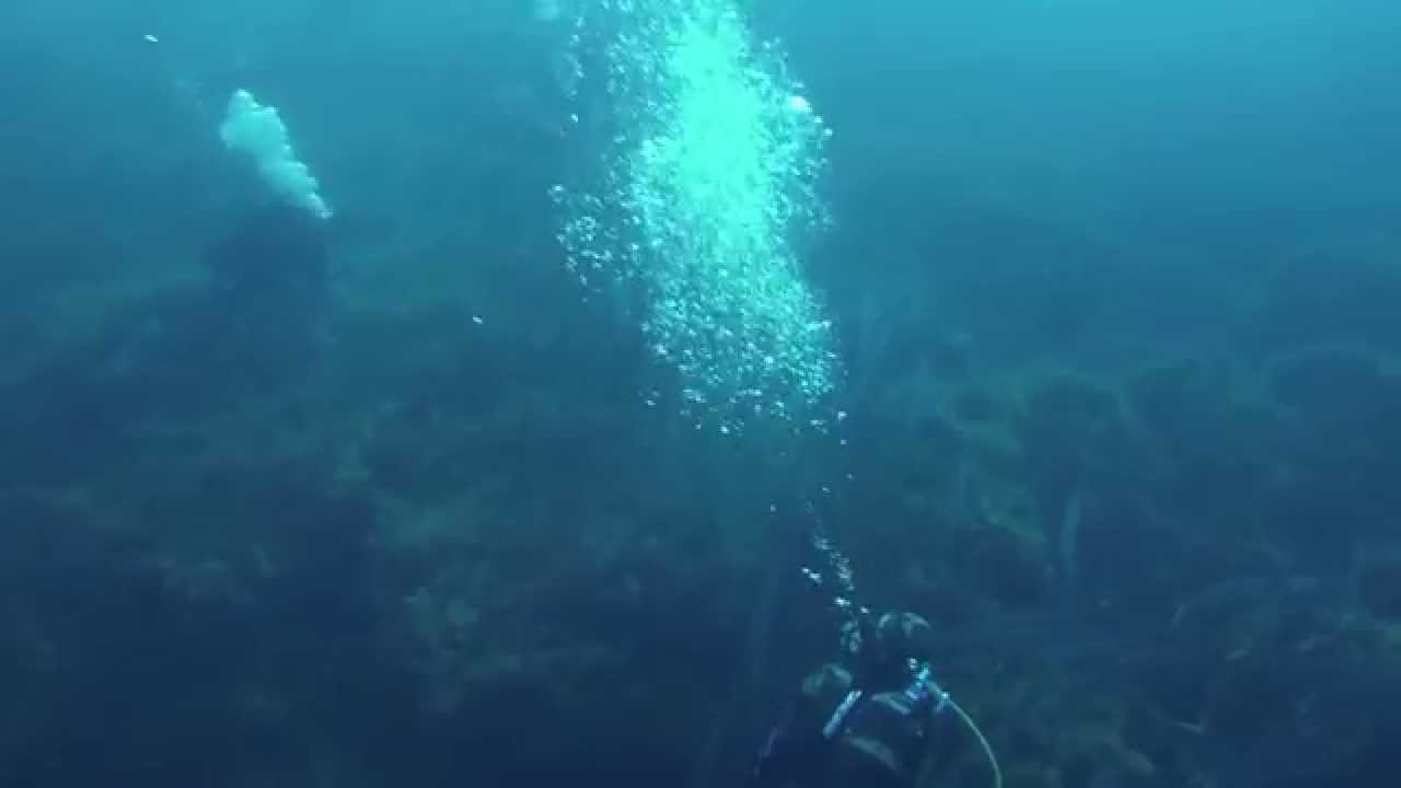 A Diver Life ep. 1