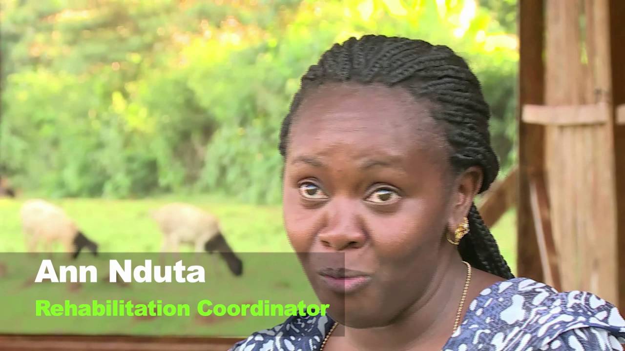 Your Story: How Alcohol Has Ruined the Life of Kenya's Top Medical Student