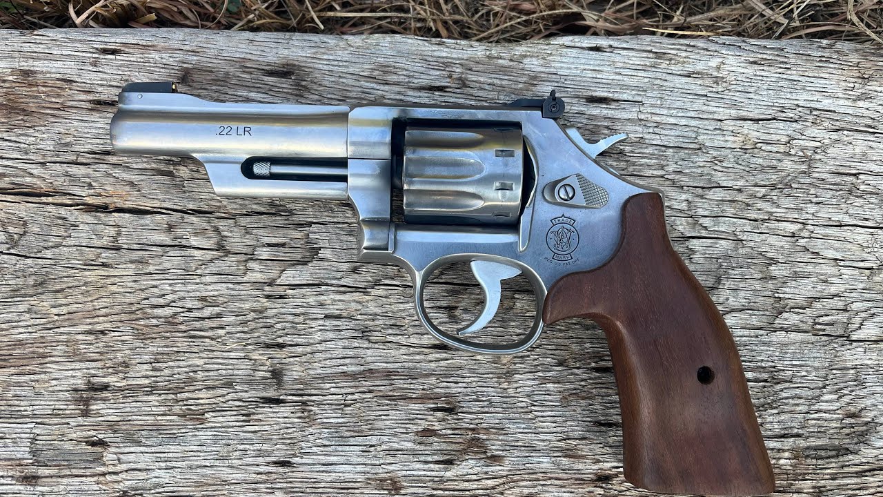 Smith & Wesson 617 Mountain Gun